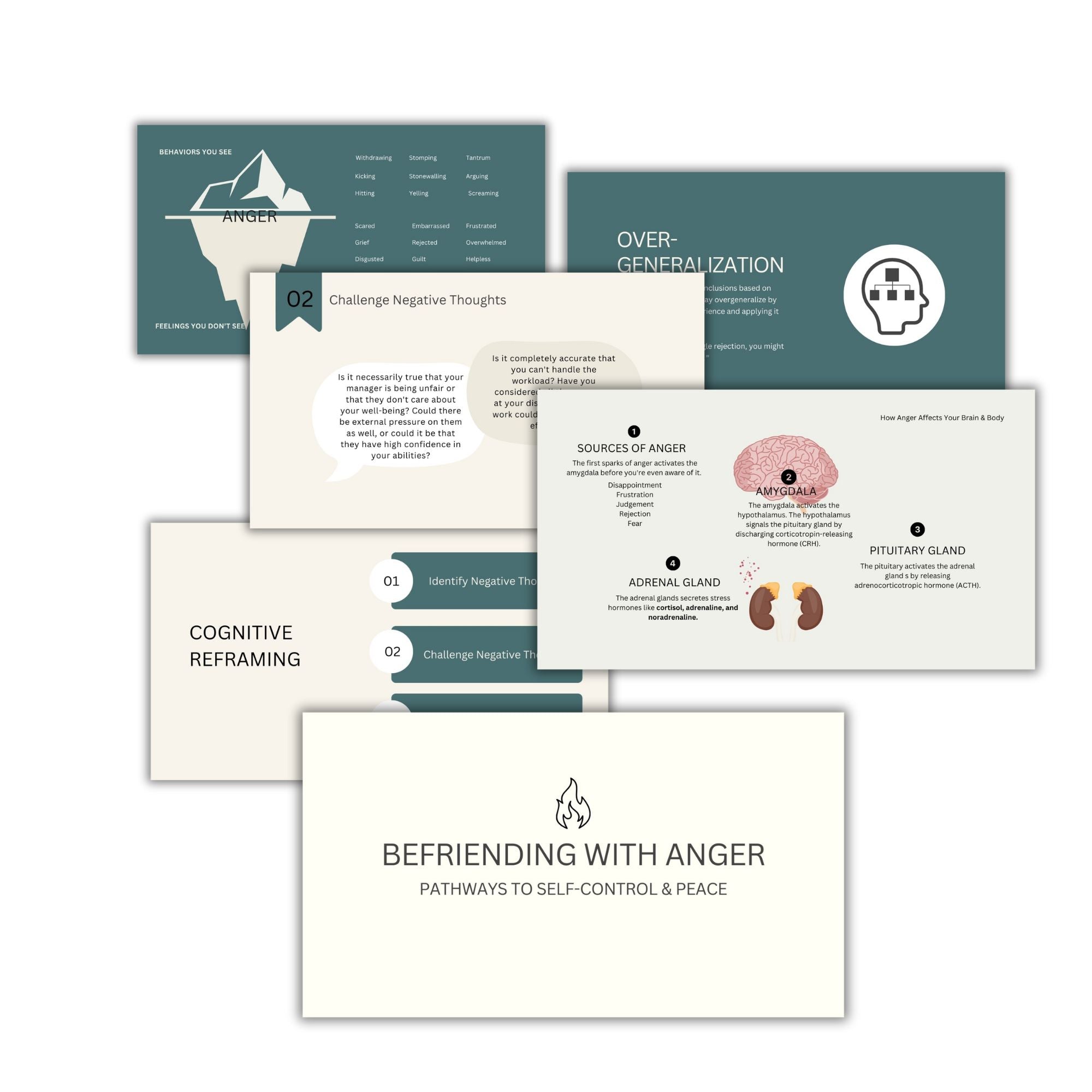 Befriending with Anger